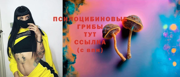 спиды Богородицк