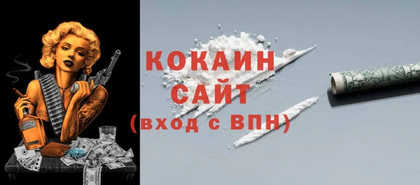 спиды Богородицк