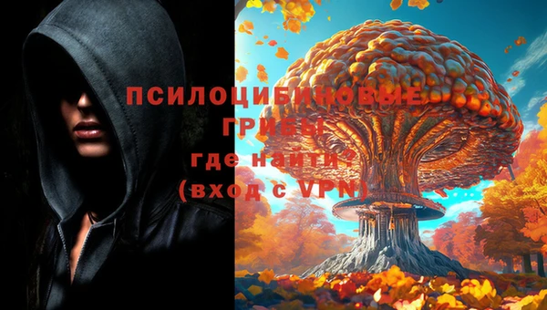 спиды Богородицк