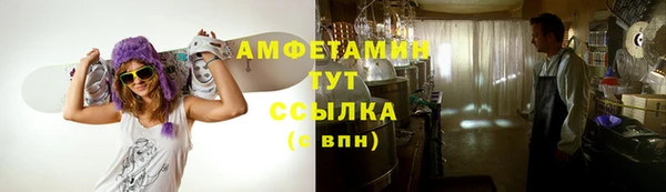спиды Богородицк
