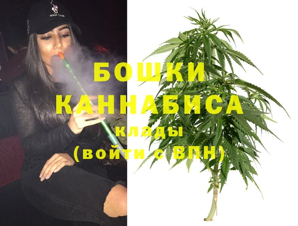спиды Богородицк