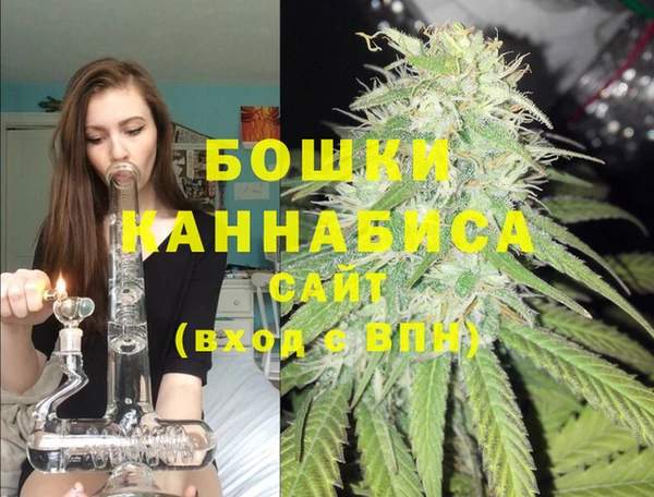 спиды Богородицк