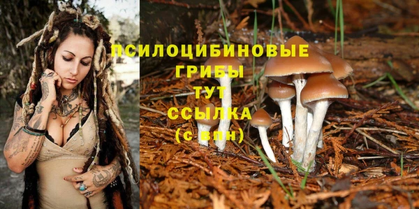 спиды Богородицк