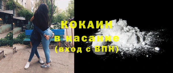 спиды Богородицк