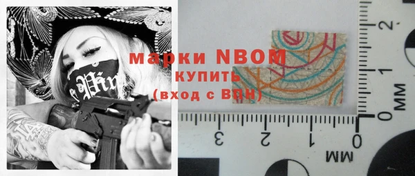 спиды Богородицк